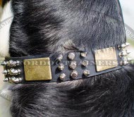 Hundehalsband Leder Exklusiv mit Spikes, Pyramiden und Platten