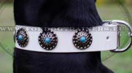 White
Collar for Doberman with Decorations White Leather Dog Collar for Doberman