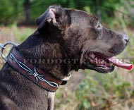 Hundehalsband Leder mit Muster