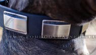 Luxus Hundehalsband mit Dekorplatten