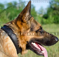 Deutscher Schferhund Lederhalsband fr Fellpolsterung