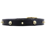 Narrow Dog Collar with Skulls