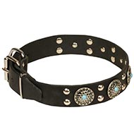 Leather Dog Collar with Turquoise Motif✺ [C11##1057 Collare con borchie e pietre azzurre per cane]