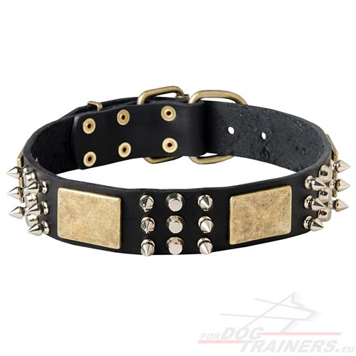 Collier en cuir dcor pour chien