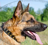 Leather dog collar with rectangular decorations