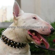 Bullterrier Lederen Spikes en Knoppen Halsband 3 Rijen✥