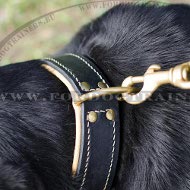 Universal Leather Collar Padded Classic Swiss Mountain Dog