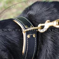 Universal Leather Collar Padded Classic Swiss Mountain Dog