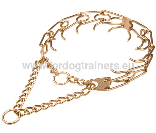 Collier d'éducation pour Mâtin napolitain