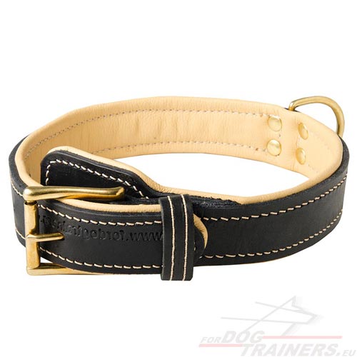 Rottweiler Exklusives Halsband