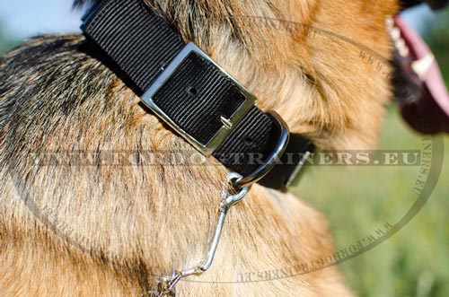 Dog collar's furniture in nickel-plated steel