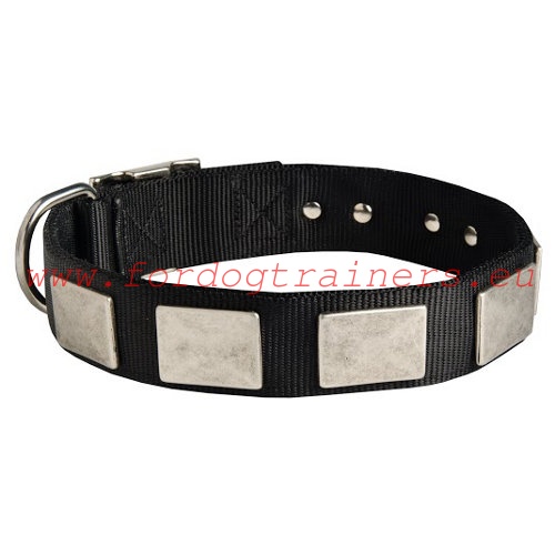 Walking nylon dog collar with massive plates for Pitbull