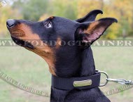 Collare in nylon con piastra d'identificazione per Dobermann