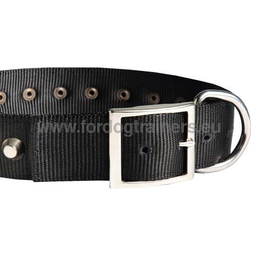 Solid furniture of the decorated nylon dog collar