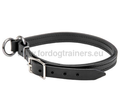 Collier en cuir et acier nickelÃ© pour chien