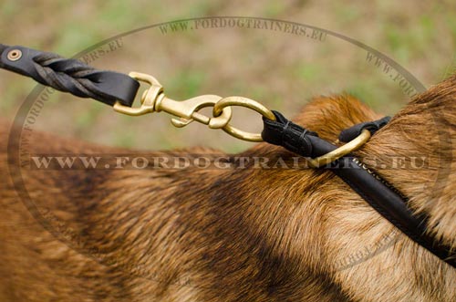 Collier en cuir rsistant pour Malinois