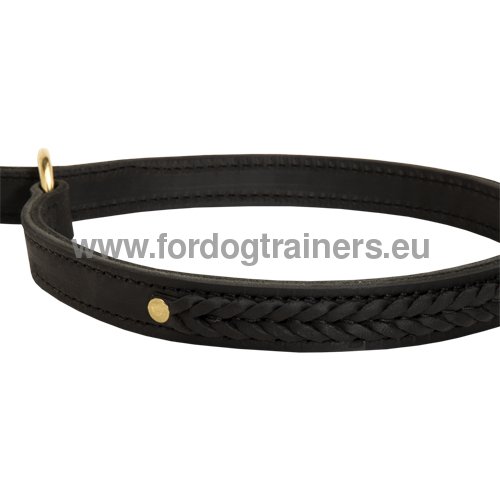 Collier en cuir pour chien Effet trangleur