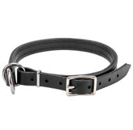 Collier  2 fonctions pour chien