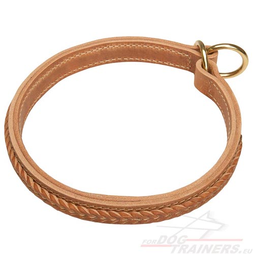 Collier étrangleur solide pour chien
