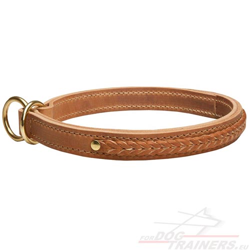 Collier double cuir & tresse pour chien