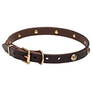 Hundehalsband Leder mit Messing Medaillons