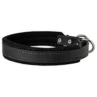 Leather Dog Collar with Fur Protective Padding