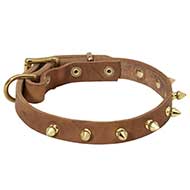 Collier  clous dors pour chien