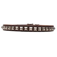 Leren halsband voor honden verchroomd Studs