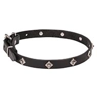 Small Dog Leather Collar with Studs | Dog Fashion Collars ◇