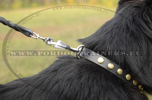 Leather dog collar with solid furniture