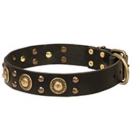 Dog Collar Leather with Embossed Plates