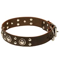 Collier de qualit pour chien