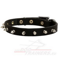 Leather Dog Collar with Silver Spikes