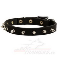 Collar de Cuero de Diseño Original para Perros Collar de Cuero de Diseño Original para Perros