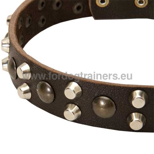 Collier fiable pour Bull Terrier Cuir de Qualit