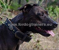 Decorated collar for Pitbull with nappa padding