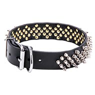 Collier à
clous brillants pour chien Collier en cuir fonctionnel pour chien