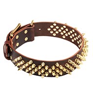 Brass-plated Leather Dog Collar