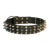 Dog Collar Leather with Spikes and Pyramids