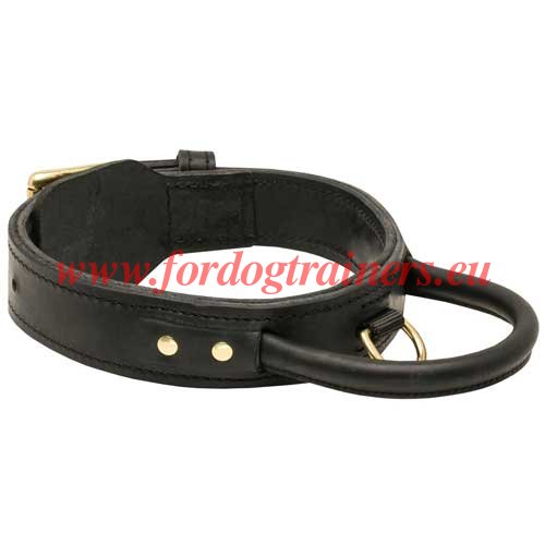 Collier pour travail de protection avec Rottweiler