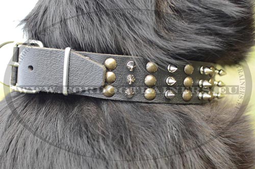 Collar for Pitbull with decorations in brass and nickel