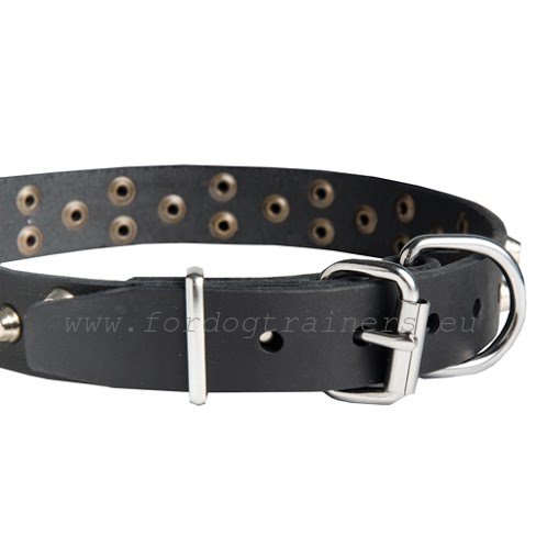 Leather dog collar with nickel-plated
furniture for strong Boxer