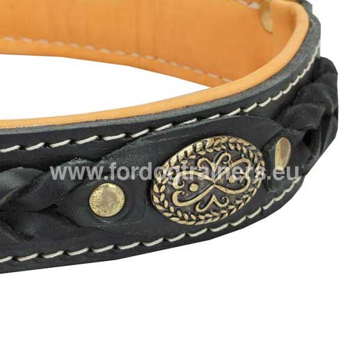 Two ply leather collar with decorations for
Mastiff