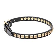 Super Comfortable Leather Collar for Small Dog◾ Super Comfortable Leather Collar for Small Dog◾