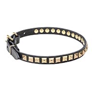 Studded Leather Dog Collar