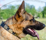 German Shepherd Collar Adorned ☛