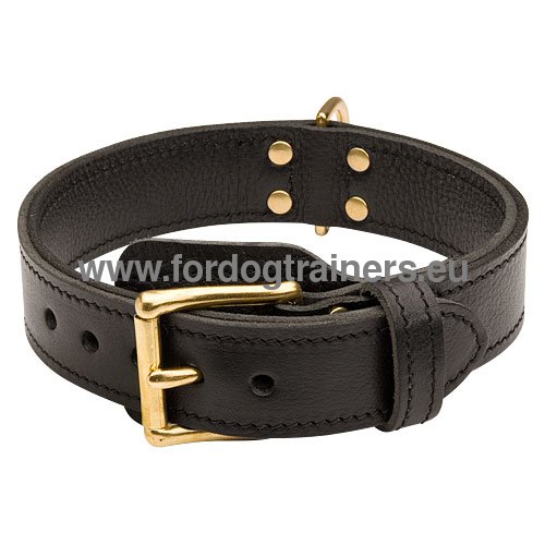 Collier confort pour Berger allemand cuir souple