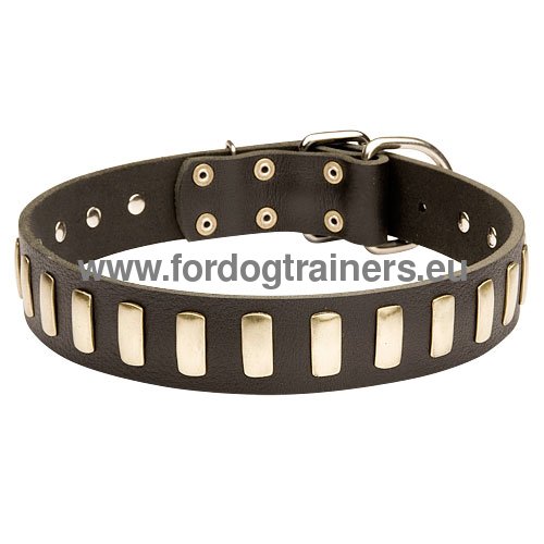 Handmade large collar for Bullmastiff