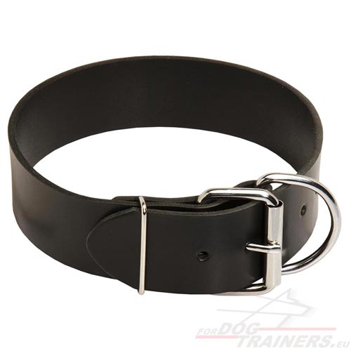 Collier en cuir pour chien puissant