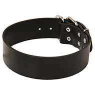 Breites Lederhalsband fr Hunde